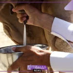 تجربتي مع حليب الابل وهل يختلف كثيرًا عن أنواع الحليب؟