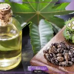 تجربتي مع زيت الخروع للبطن وأبرز فوائده الصحية