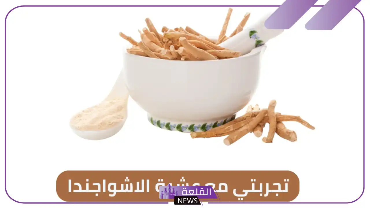 تجربتي مع عشبة الاشواجندا وفوائدها 6 متى يبدأ مفعول الاشواجندا