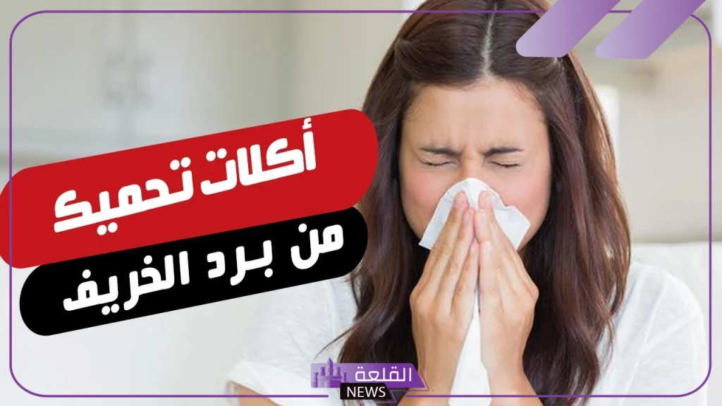 حافظ على صحتك.. أطعمة تحمي الجسم من تقلبات الطقس قبل دخول الشتاء 5 أهم الأطعمة التي تحمي الجسم من تغيرات الجو