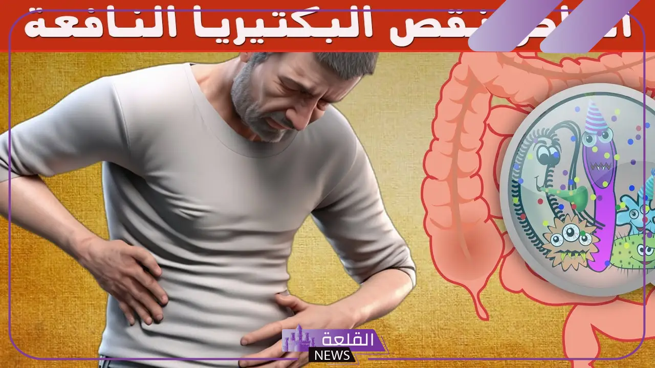 تجربتي مع البكتيريا النافعة والتخلص من الوزن الزائد تجربتي مع البكتيريا النافعة والتخلص من الوزن الزائد