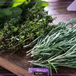 تجربتي في التخلص من الاملاح بالأعشاب والأدوية