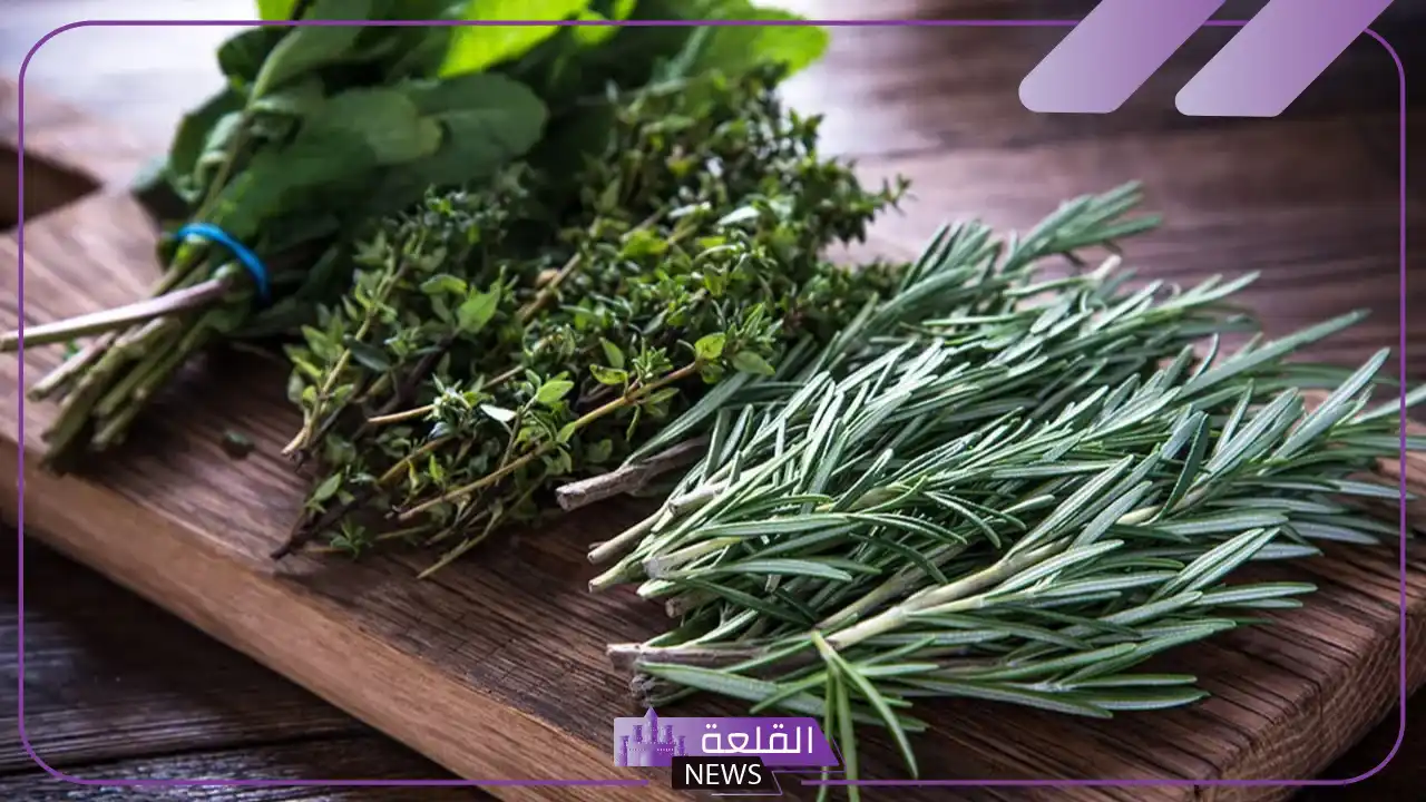 تجربتي في التخلص من الأملاح في الجسم 5 علاج الأملاح بالأعشاب مجرب