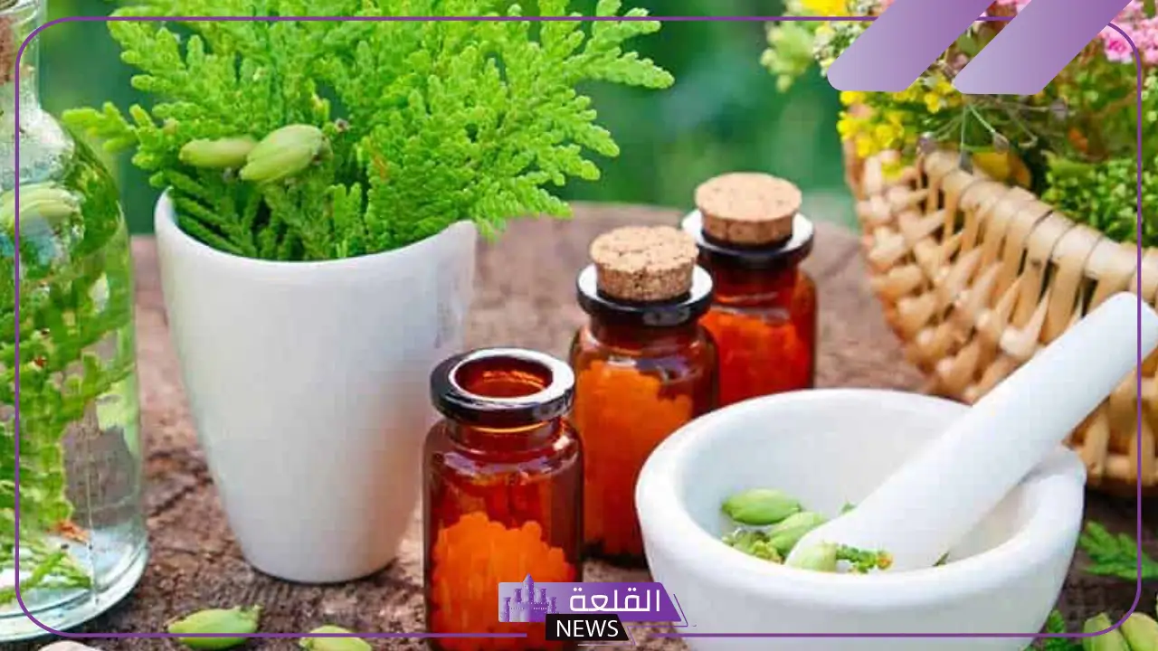 تجربتي مع عشبة المدينة للحمل.. مين جربت عشبة المدينة وحملت 19 تجربتي مع عشبة المدينة للحمل.. مين جربت عشبة المدينة وحملت