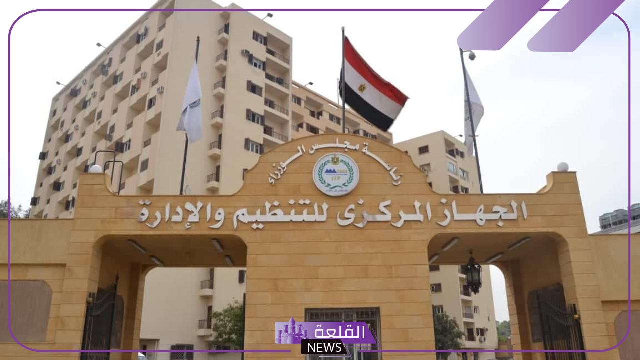 هيئة التنظيم والإدارة.. إتاحة رابط الاستعلام عن أحقية الموظف في الترقية