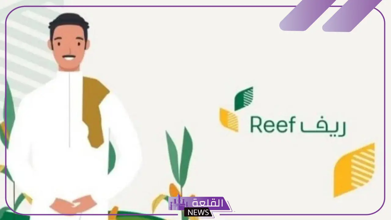 وزارة البيئة والمياه.. توضيح بخصوص حقيقة التسجيل في برنامج ريف برسوم
