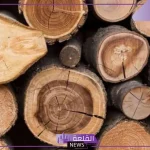 تفسير حلم الخشب للمتزوجه في المنام لابن سيرين والنابلسي