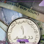 أسعار الدرهم.. سعر بيع وشراء الدرهم الإماراتي أمام الجنيه المصري اليوم الثلاثاء 22 أكتوبر 2024 في البنوك