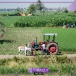 احذر.. إعلانات كاذبة لبيع أرض زراعية في مصر والسلطات المصرية توضح الحقيقة