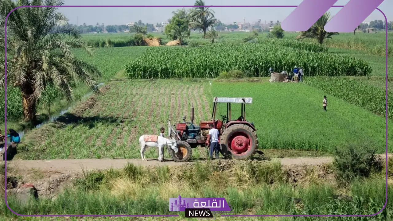 اعلانات وهمية عن الاراضي الزراعية السلطات تحذر
