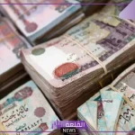 للعمالة غير المنتظمة.. طريقة الحصول على معاش من التأمينات الاجتماعية