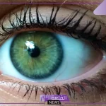 تفسير حلم رؤية العيون الخضراء في المنام للمتزوجة والعزباء