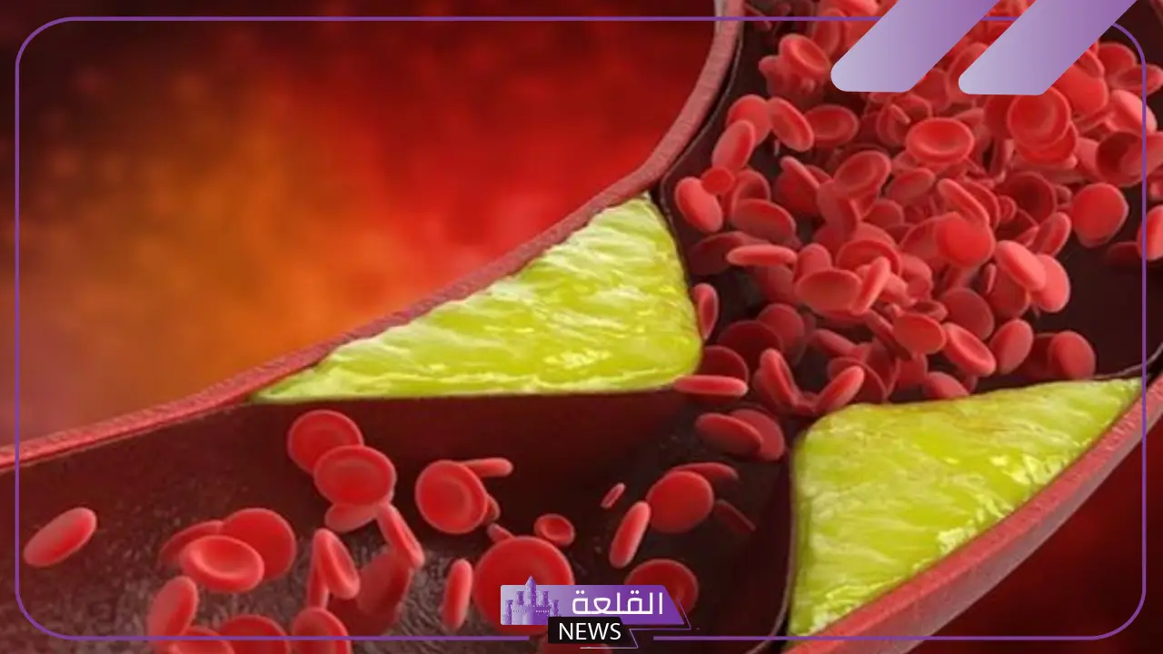 لحماية الكبد.. طعام يقلل من الكوليسترول الضار في الدم ويحمي الكبد