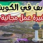بتأشيرة مجانية.. فرص عمل ووظائف شاغرة في الكويت برابط التقديم 2024