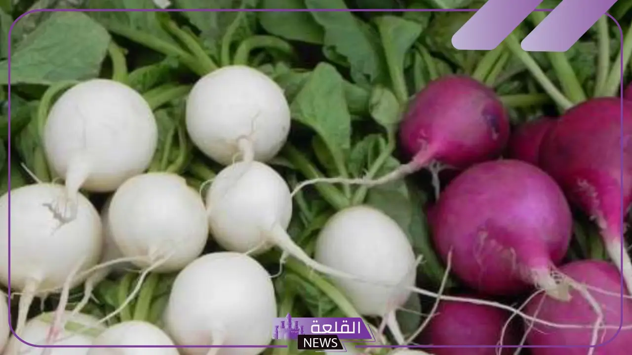 تفسير رؤية اللفت في المنام وعلاقته بالزواج من رجل ثري 5 دلالات حلم اللفت في المنام