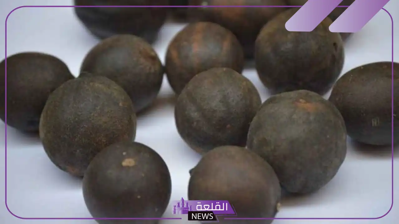 تجربتي مع الليمون الأسود للتنحيف في أسبوع واحد 6 بنات من جربت الليمون الأسود للتنحيف
