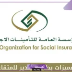 من أهمهم الخصم على جميع المنتجات.. مميزات بطاقة التقاعد الإلكترونية للمتقاعدين في السعودية 1446