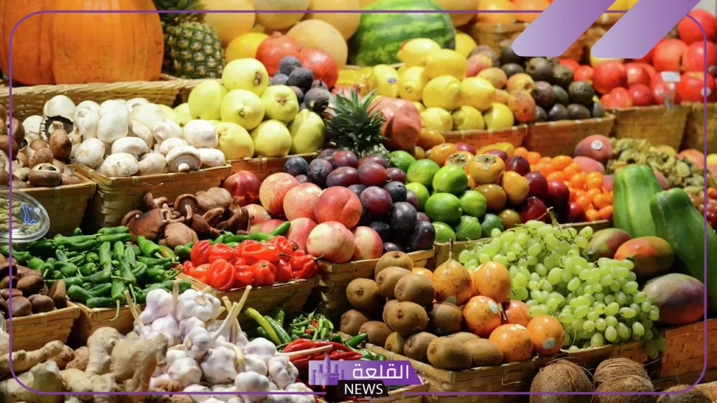 مبادرة من الغيط للبيت.. الأسعار الجديدة للخضروات في مصر بعد التخفيض بنسبة 30% 5 موعد انتهاء مبادرة من الغيط للبيت