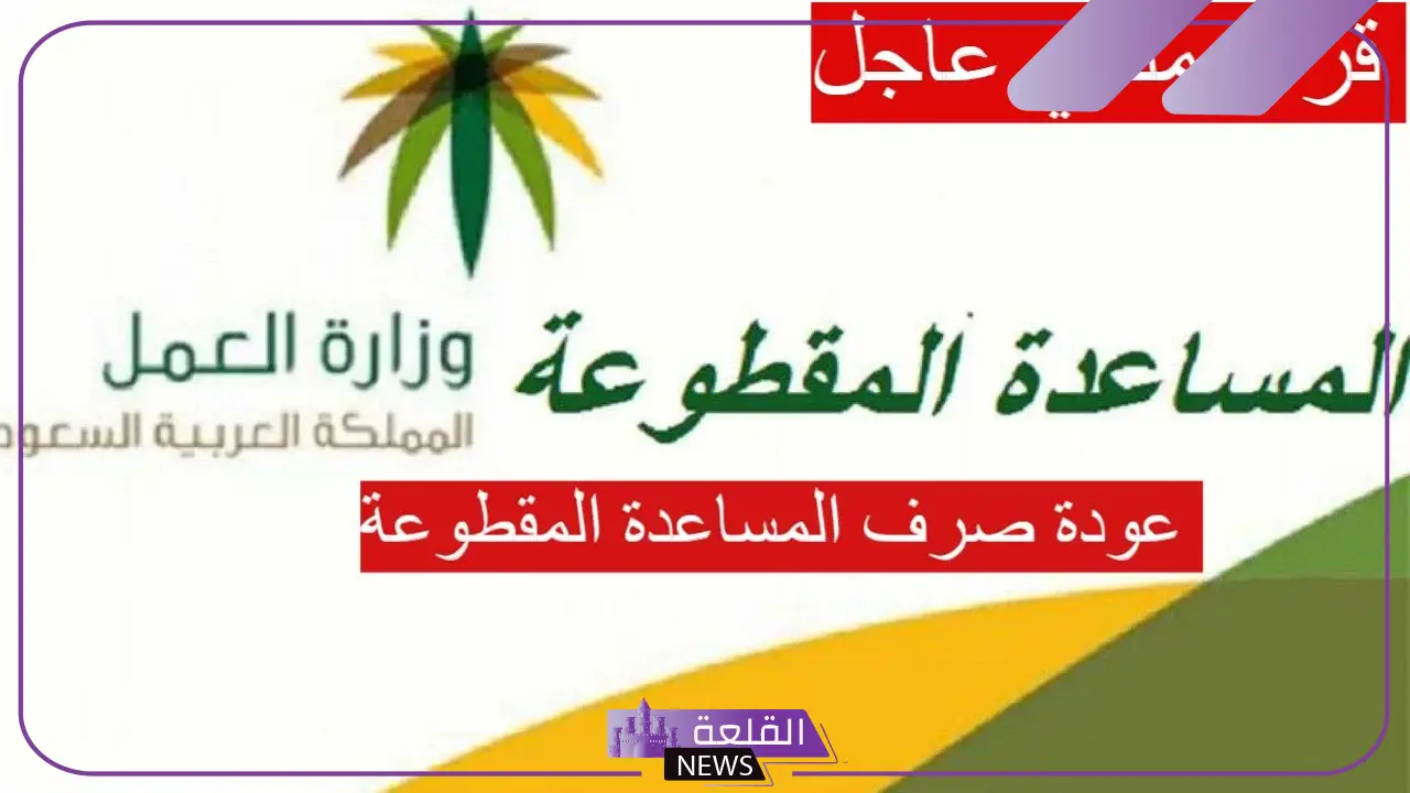 لجميع مستفيدي الضمان.. عودة المساعدة المقطوعة من جديد 1446