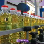 رئيس جهاز حماية المستهلك.. تراجع أسعار الزيوت للنصف ومتوفرة في كافة الأسواق