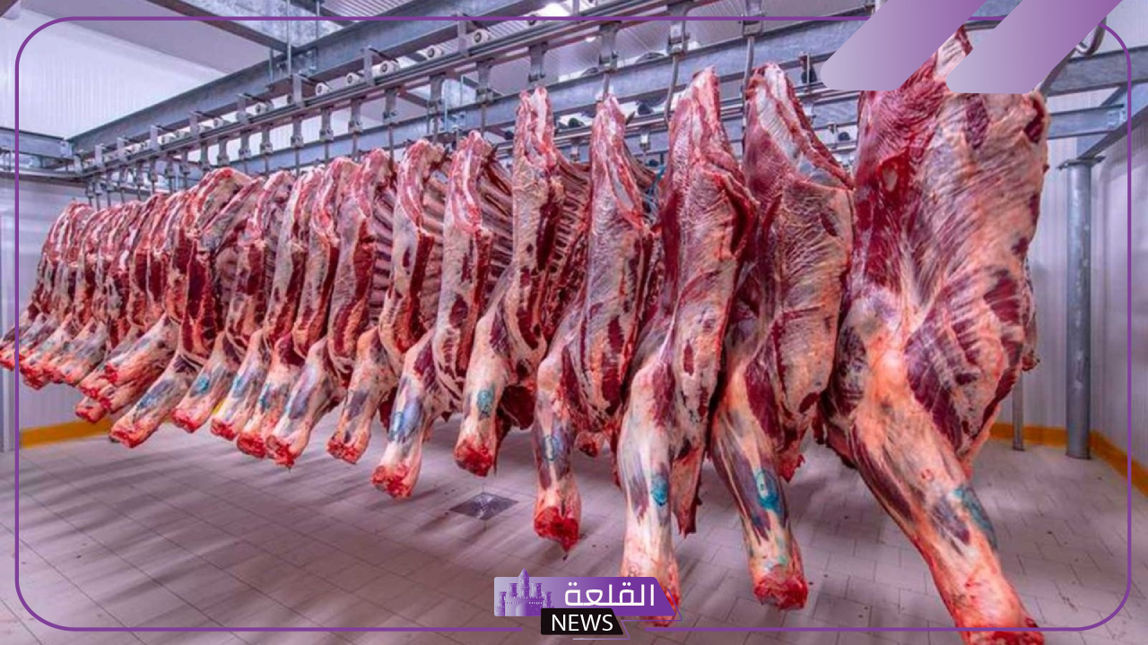 البلدي والضاني.. أسعار اللحوم الجديدة اليوم الثلاثاء 29 أكتوبر 2024 في مصر 5 اللحوم اليوم في أسواق مصر
