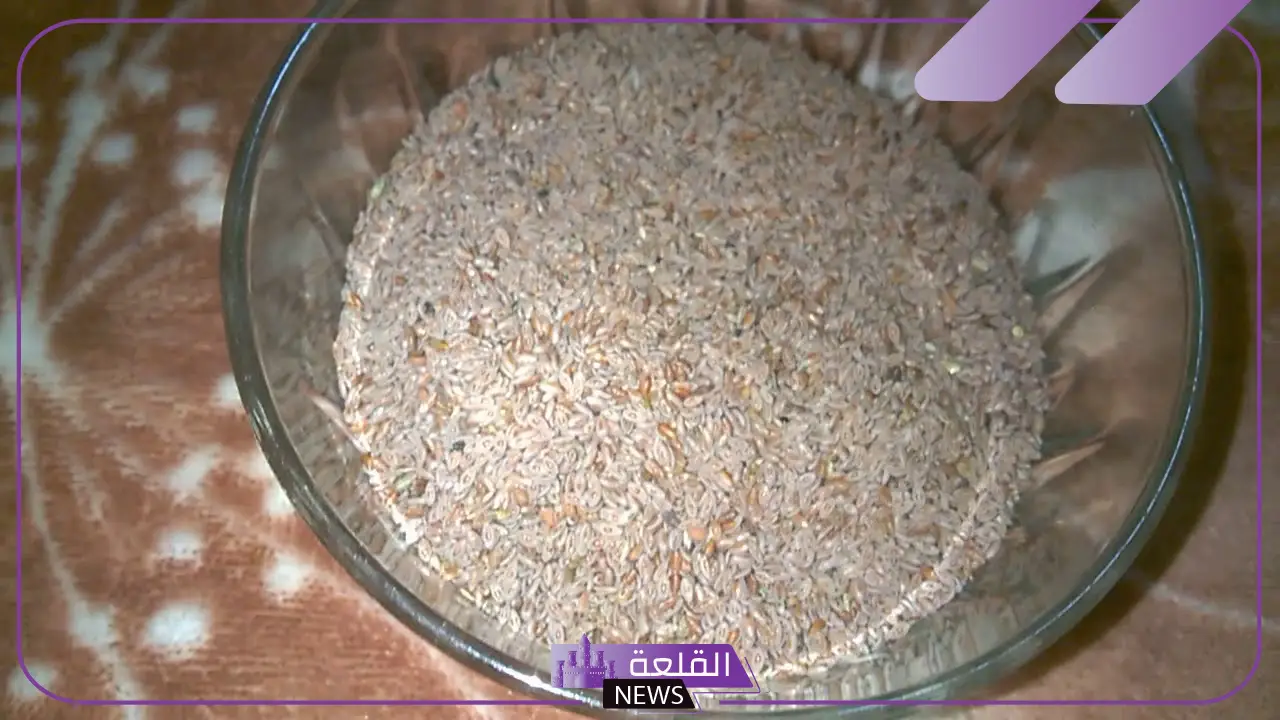 تجربتي مع بذرة القاطونة للتخسيس والشعور بالشبع 5 مميزات بذور القاطونة