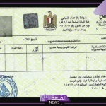 استخرجها الآن.. طريقة استخراج شهادة الخدمة العسكرية إلكترونيًا في مصر والأوراق المطلوبة 2024