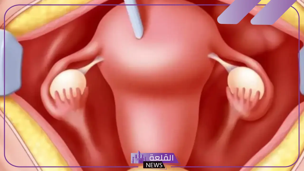 تجربتي لفتح الرحم وتسريع الطلق في الحمل والمخاض 5 كيفية تسريع الطلق