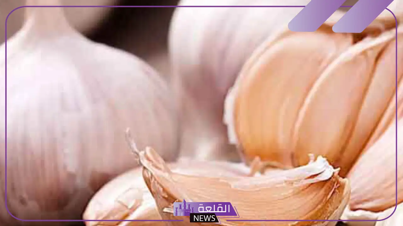 تجربتي مع اكل الثوم قبل النوم على الريق يوميًا 6 أكل الثوم بالفوائد