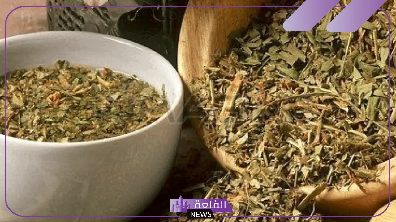 تجربتي مع الارطا للتضييق بعد الولادة وتوسع المهبل 14 تجربتي مع الارطا للتضييق بعد الولادة وتوسع المهبل