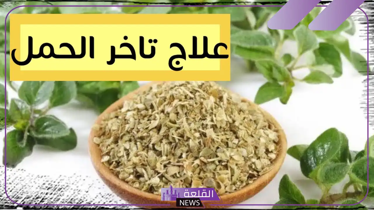 تجربتي مع البردقوش للحمل بتوأم ولد وطريقة الاستعمال 6 متى يبدأ مفعول البردقوش عالم حواء