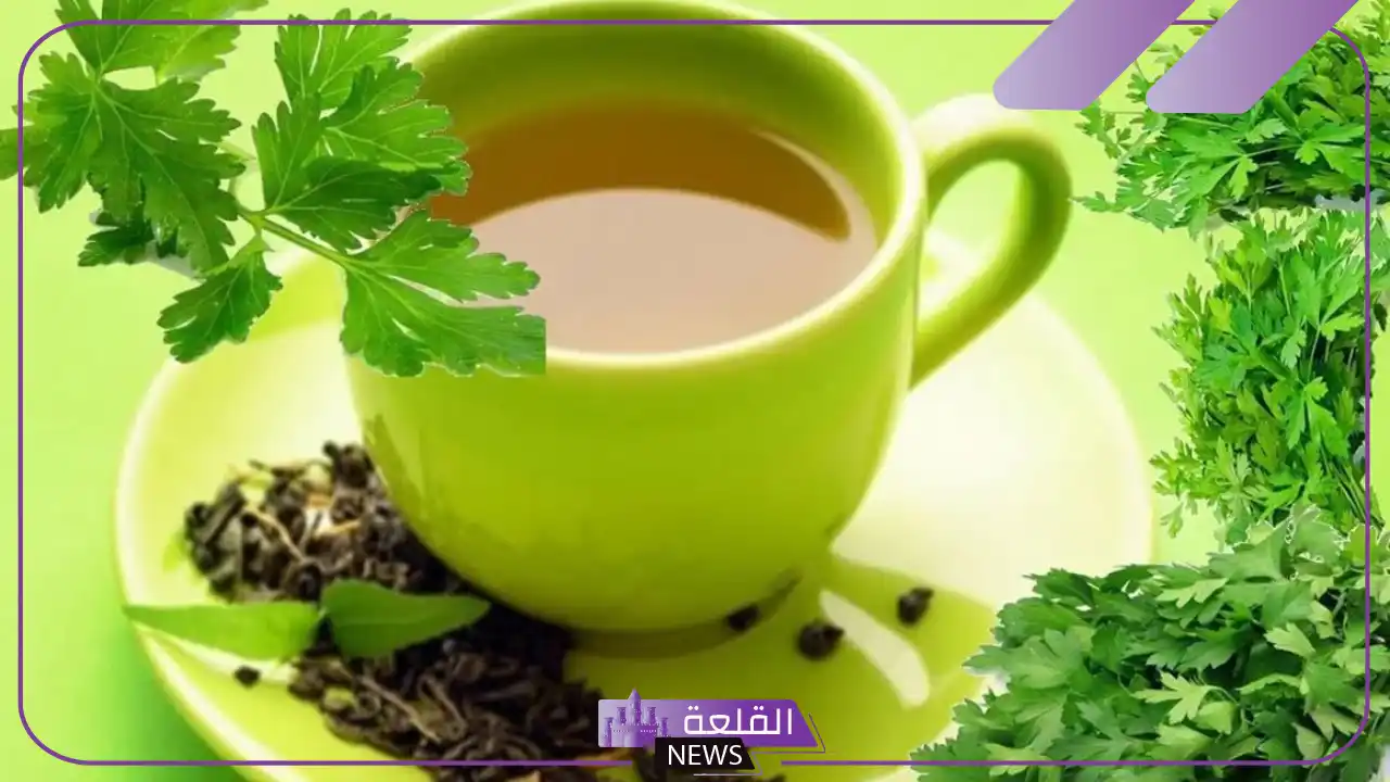 علاج التهاب البول تجربتي في المنزل 5 أفضل مضاد حيوي طبيعي لعلاج التهاب المسالك البولية