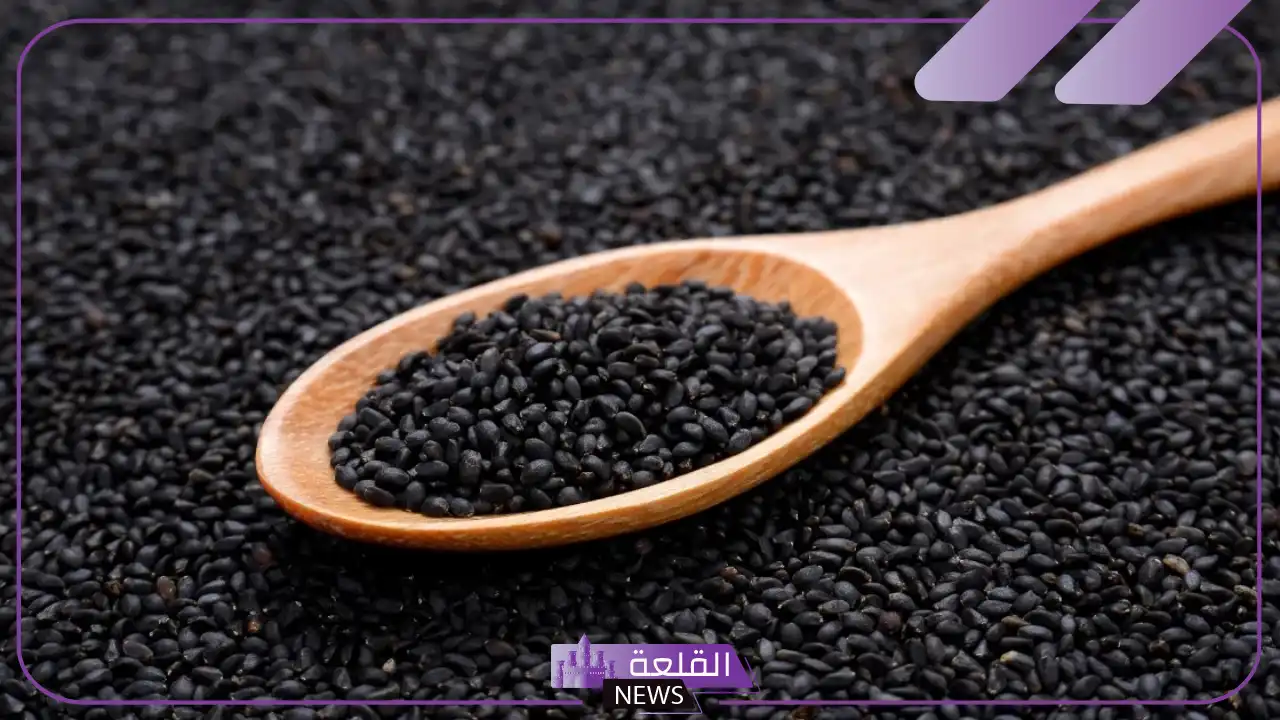 تجربتي مع الحبة السوداء على الريق وفوائدها وأضرارها 6 أضرار حبة البركة على الدورة الشهرية