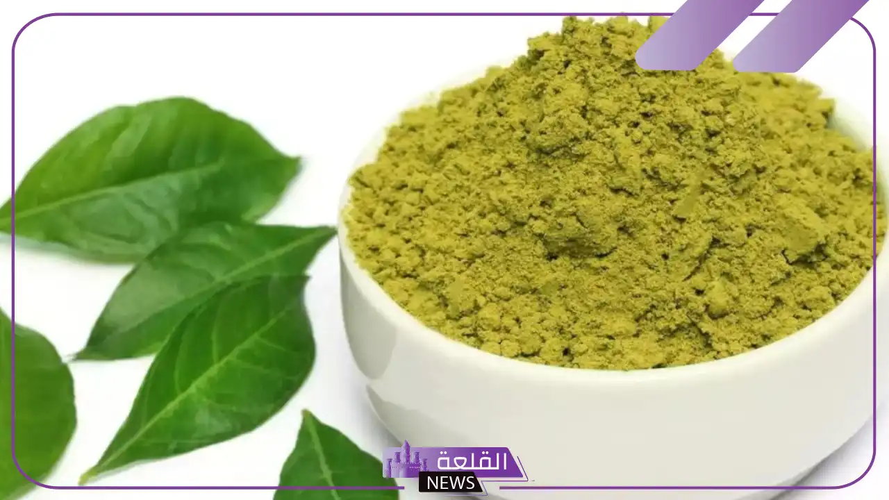 تجربتي مع السدر للشعر وطريقة الاستخدام وموعد ظهور النتائج 5 تجارب السدر للشعر الخفيف