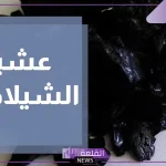 تجربتي مع الشيلاجيت لإعادة الشباب وزيادة الحيوية