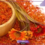 تجربتي مع العصفر للخوف والقلق وعلاج الاكتئاب