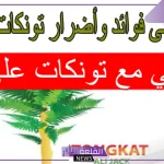 تجربتي مع تونكات علي وتأثيره على الرجال والنساء