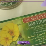 تجربتي مع زهرة الربيع المسائية وطريقة الحصول عليها