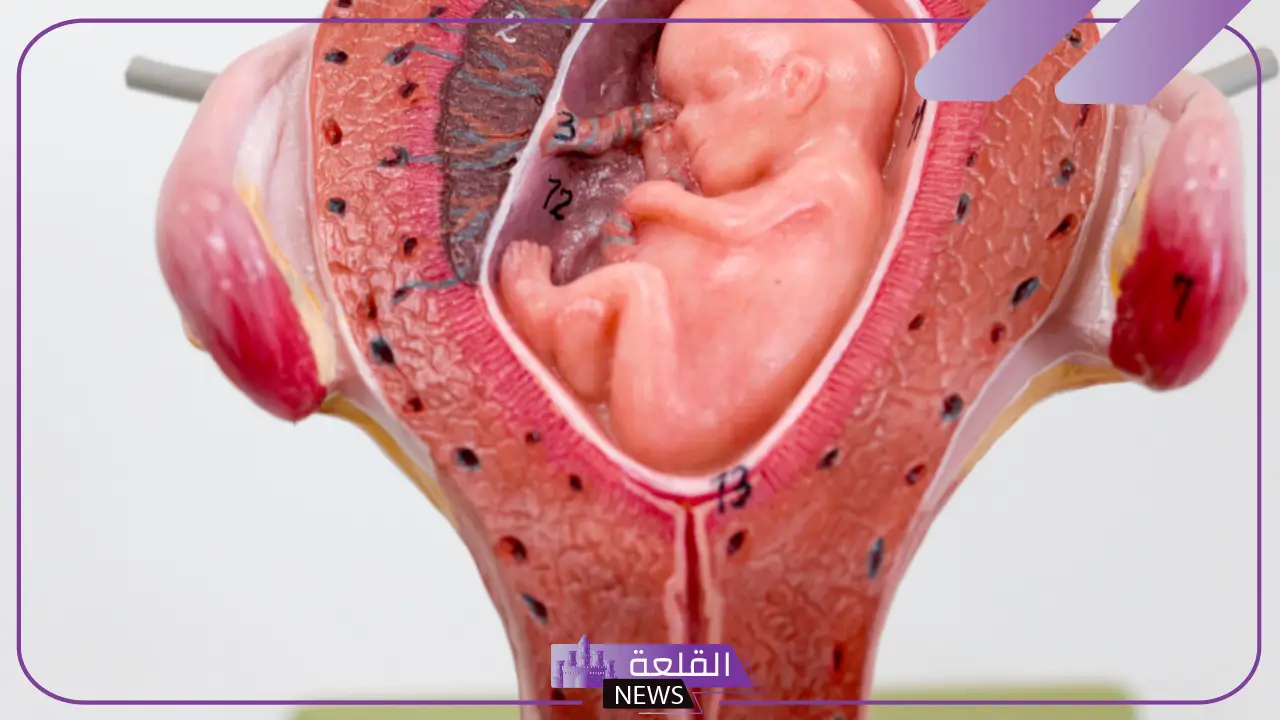 تجربتي مع زيادة الماء حول الجنين وتأثيرها على الولادة 8 تجربتي مع زيادة الماء حول الجنين وتأثيرها على الولادة