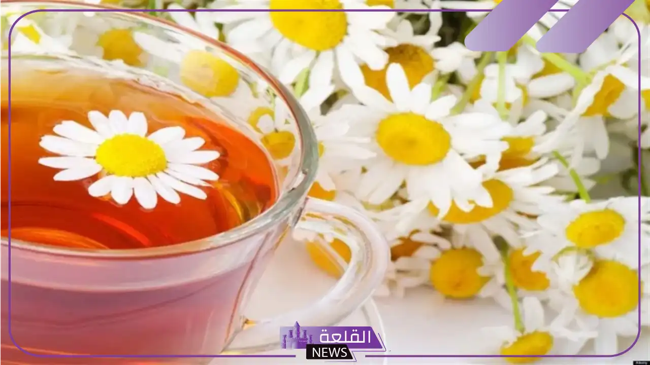 تجربتي مع شرب البابونج يوميا للتبييض والنتيجة تجربتي مع شرب البابونج يوميا للتبييض والنتيجة