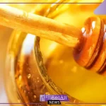 تجربتي مع عسل الطلح بالفوائد وكيف كان طعمه