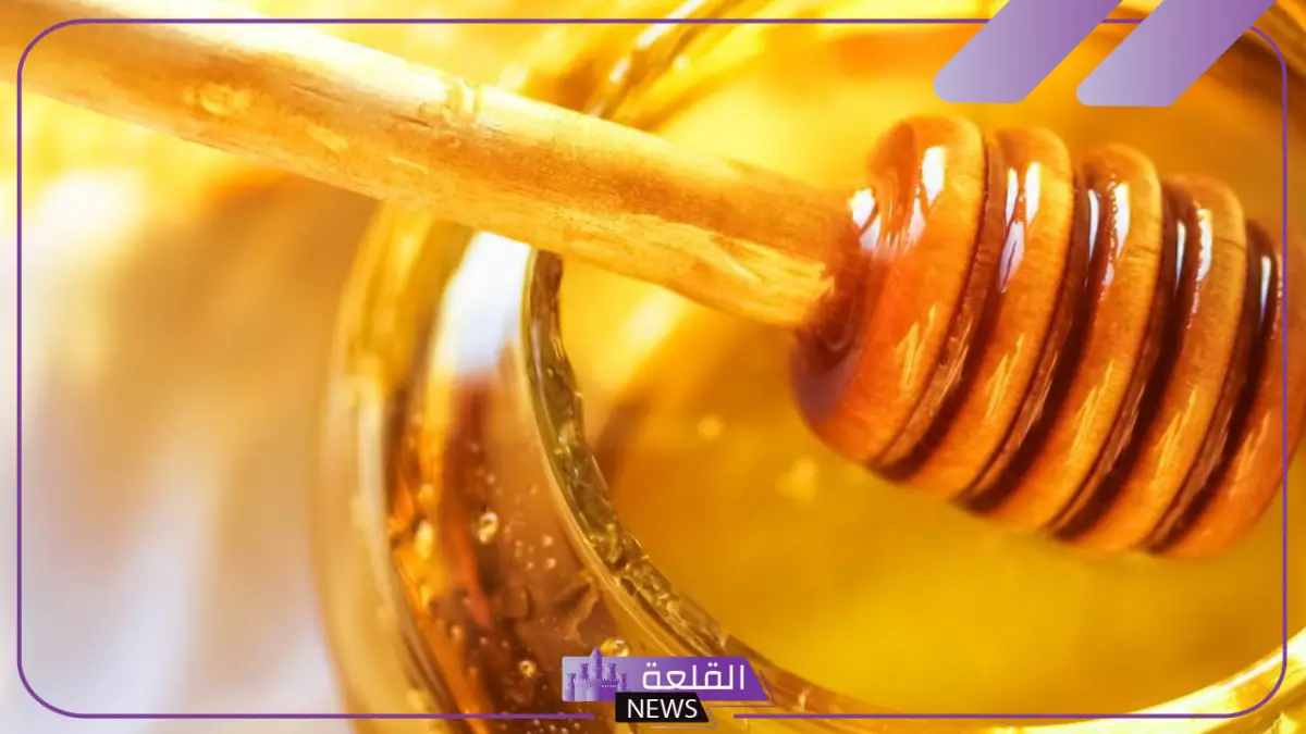 تجربتي مع عسل الطلح بالفوائد وكيف كان طعمه
