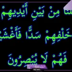 تجربتي مع وجعلنا من بين أيديهم سدا ومن خلفهم سدا