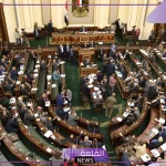 لخريجي الصيدلية.. تشريع جديد بتدريب إجباري سنة والحصول على مكافأة 2500 جنيه في مصر