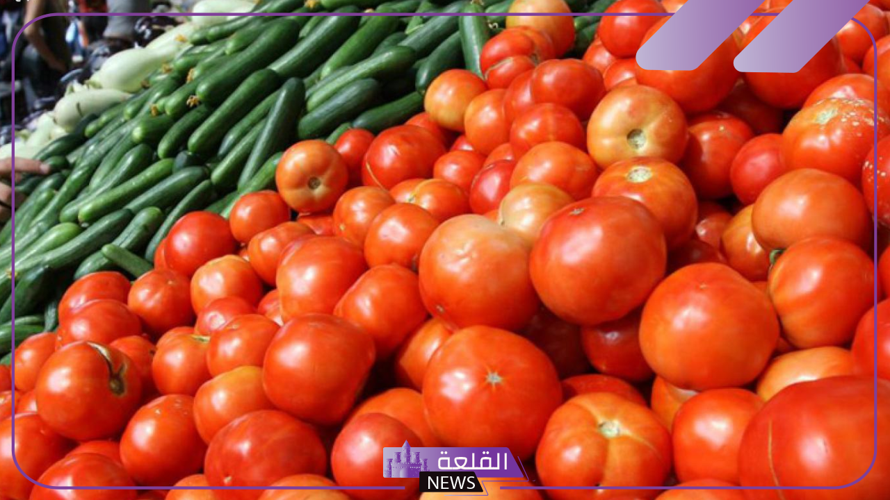 شعبة الخضروات.. تراجع أسعار الطماطم وبعض الخضروات الأخرى في مصر