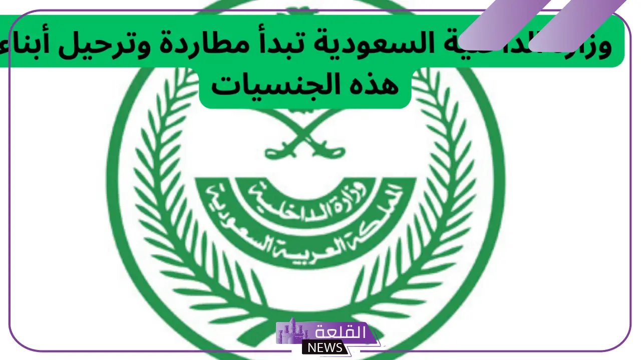 الداخلية.. ترحيل أبناء هذه الجنسية قبل بداية العام الجديد 2025 5 ترحيل ومطاردة بعض الجنسيات نهاية العام