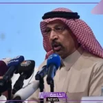 وزير الاستثمار.. قرار بإتاحة 4 مطارات لإدارة القطاع الخاص في العام المقبل