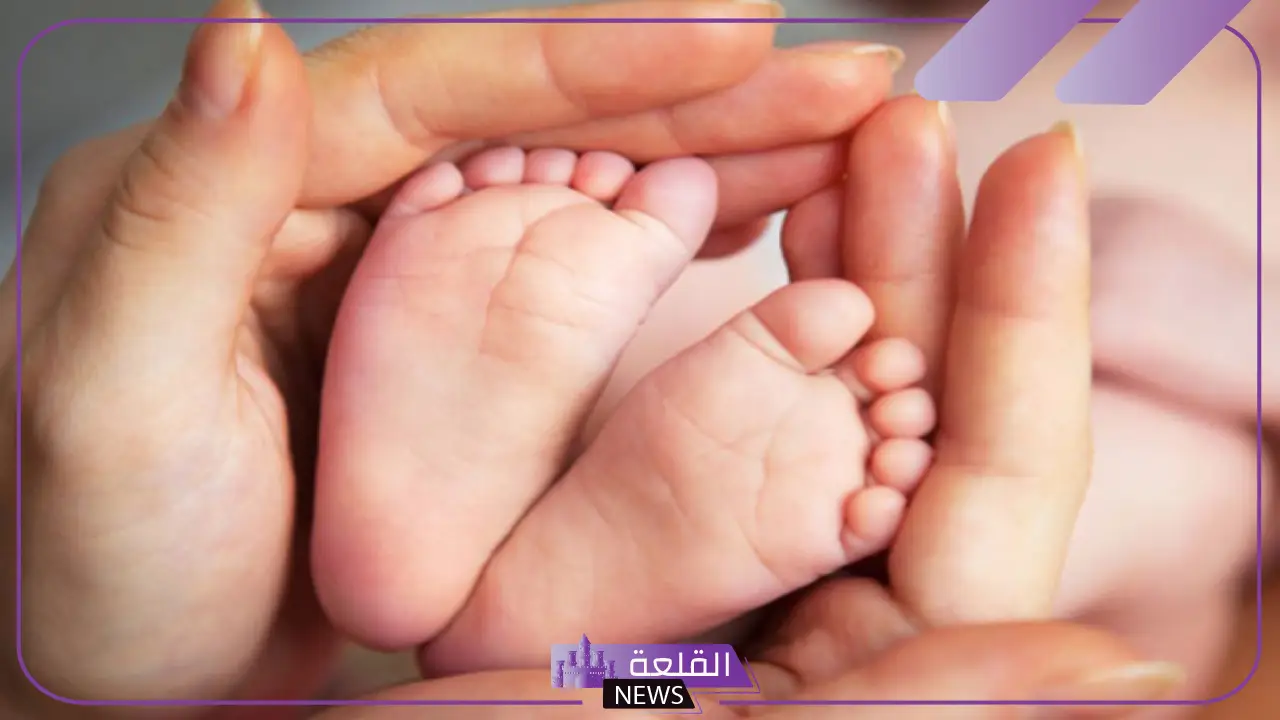 الهيئة العامة للتأمينات.. 3 شروط وضوابط لاستحقاق المرأة العاملة دعم تعويض الأمومة 1446