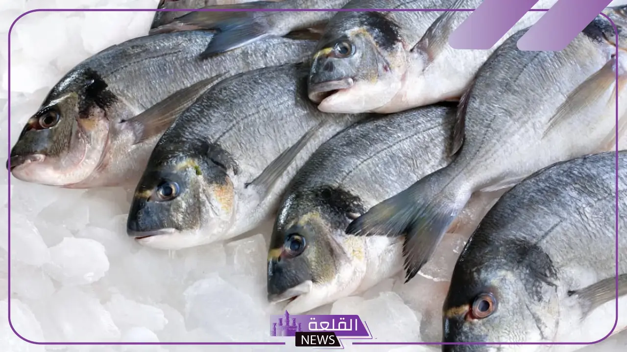 تفسير حلم السمك الحي خارج الماء في المنام للعزباء والمطلقة لابن سيرين 6 تفسير حلم السمك الحي خارج الماء للرجل المتزوج