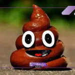 تفسير حلم رؤية البراز فى المنام وعلاقته بالتخلص من الهموم